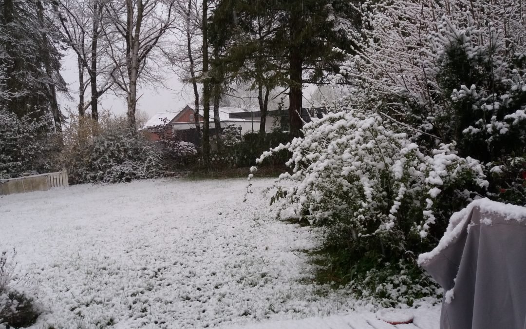 O Widerspruch voll Harmonie!